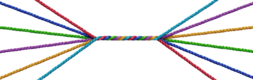 Photo of Atom Metro Credit Union Branch Leads.